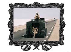 In the Chott el Jerid